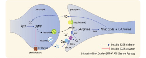 graphical abstract example