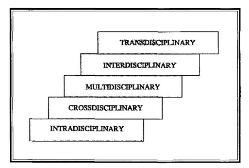 Typologies: Marilyn Stember