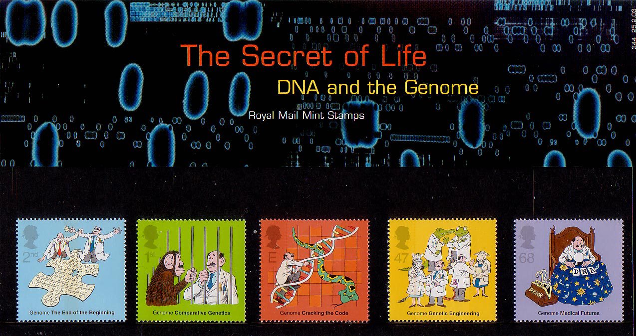 The secret of life stamp set