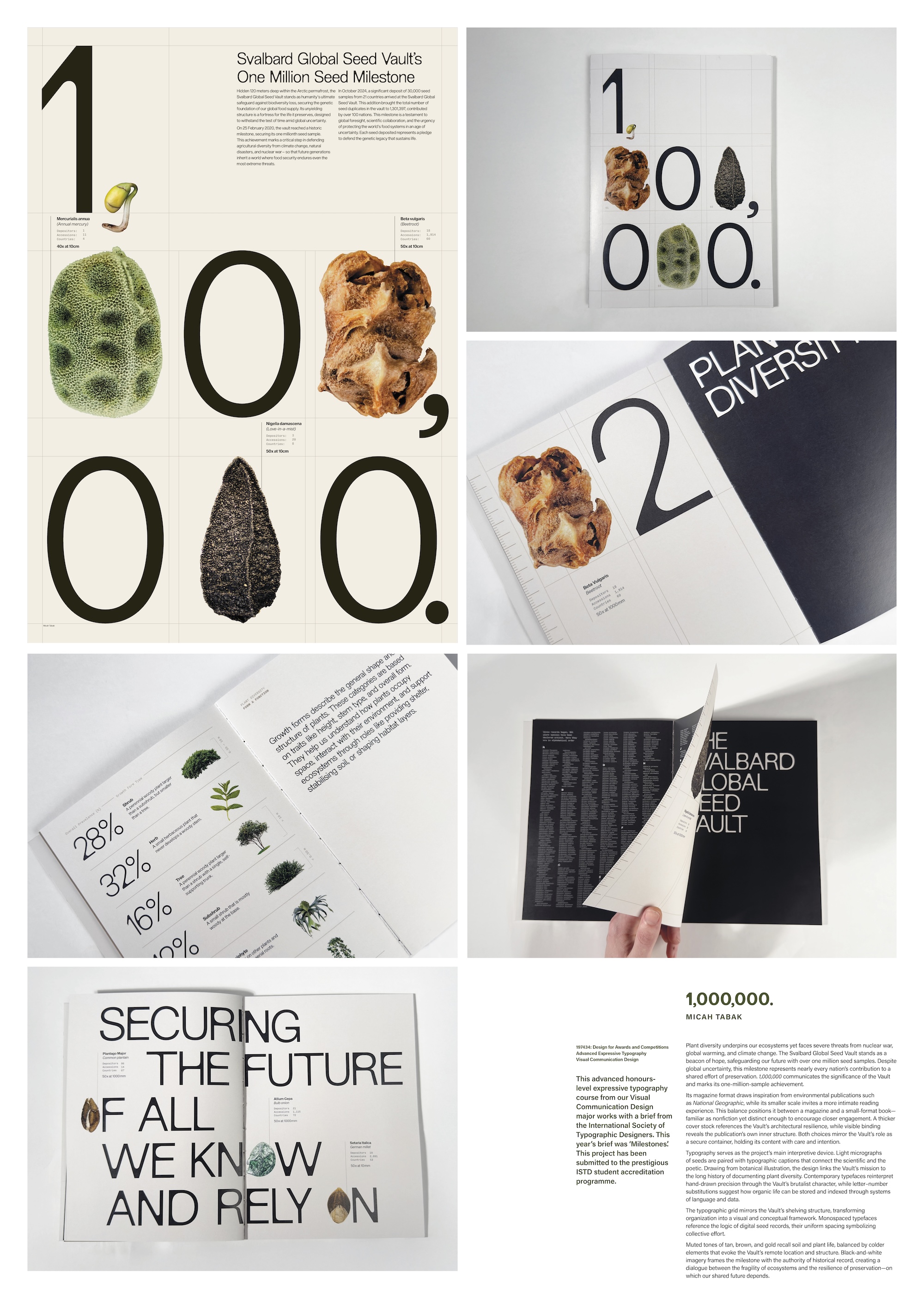 Micah's 2025 ISTD project